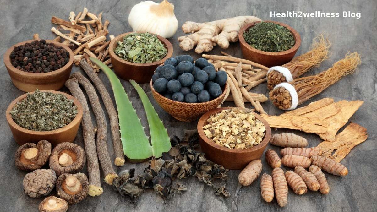  Top Ten Benefits of Herbal Medicines